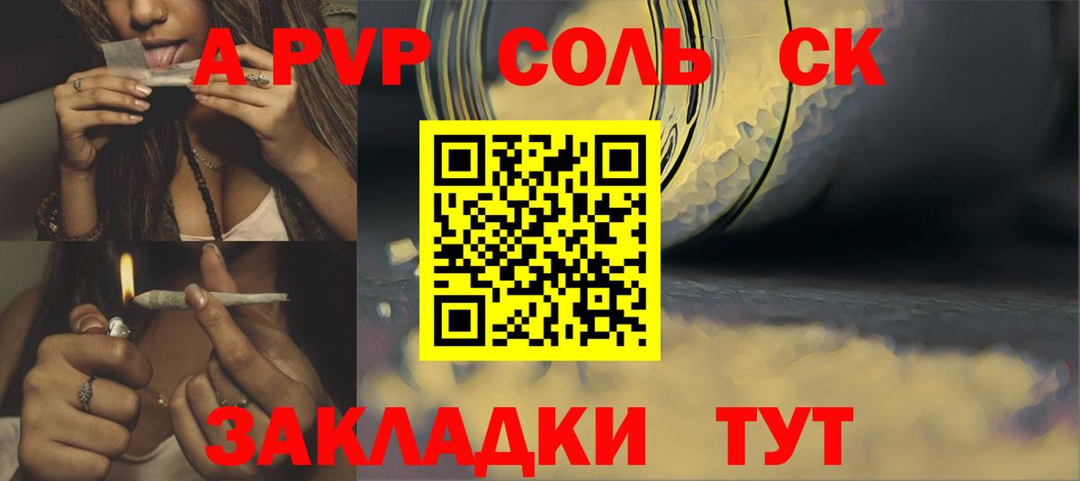 А ПВП крисы CK  Alfa_PVP СК КРИС  Вход с VPN  Сыктывкар 