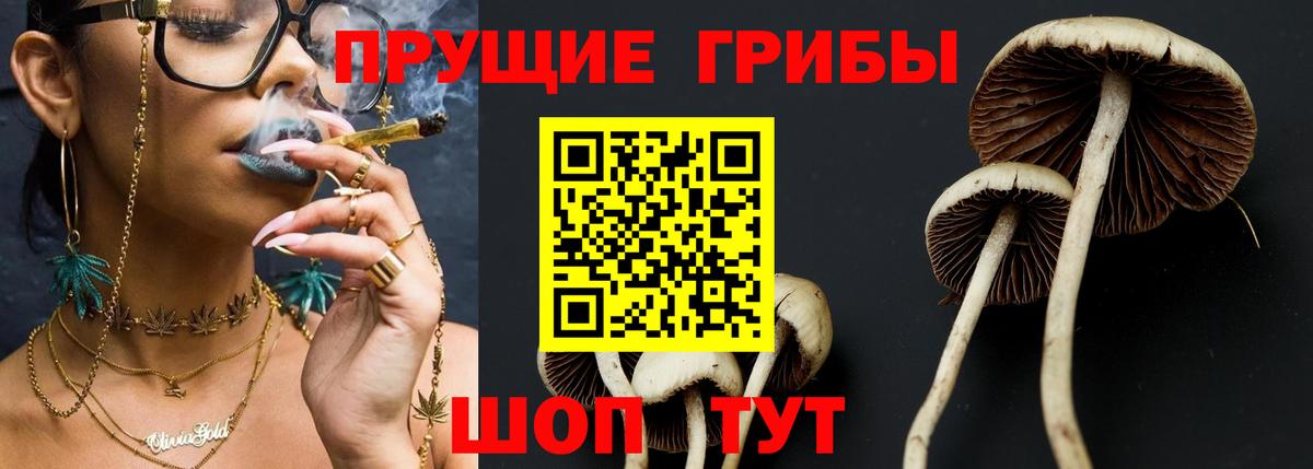 Псилоцибиновые грибы GOLDEN TEACHER  Вход с VPN  Сыктывкар 